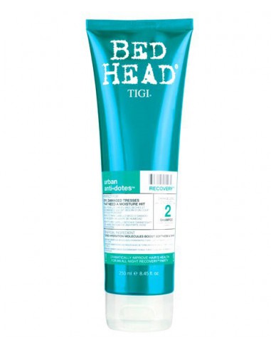 Bed Head Urban Anti Dotes Recovery Shampoo Bed Head Urban Anti Dotes Recovery Shampoo