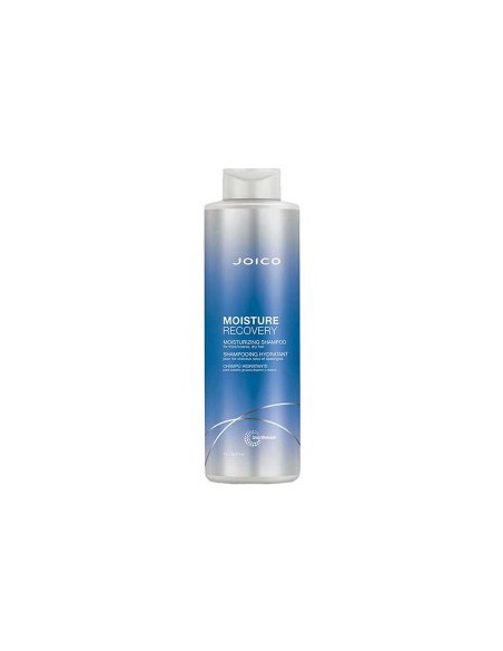 Joico Moisture Recovery Shampoo