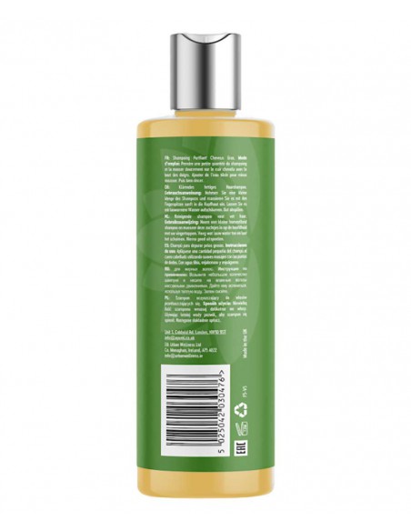 Ayumi Naturals Neem And Moringa Shampoo