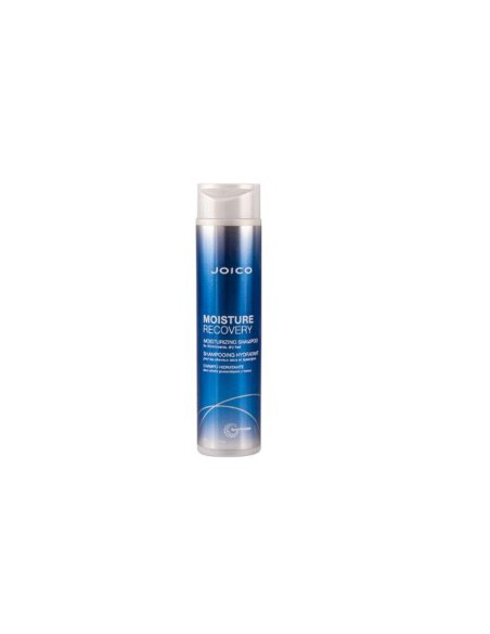 Moisture Recovery Moisturizing Shampoo
