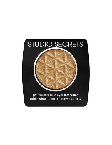 Studio Secret Professional Blue Intensifier 282 Studio Secret Professional Blue Intensifier 282