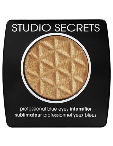 Studio Secret Professional Blue Intensifier 282 Studio Secret Professional Blue Intensifier 282