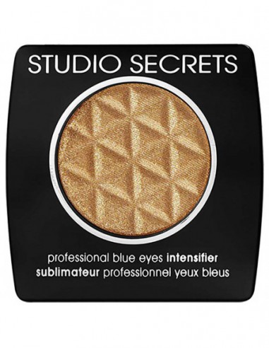 Studio Secret Professional Blue Intensifier 282 Studio Secret Professional Blue Intensifier 282