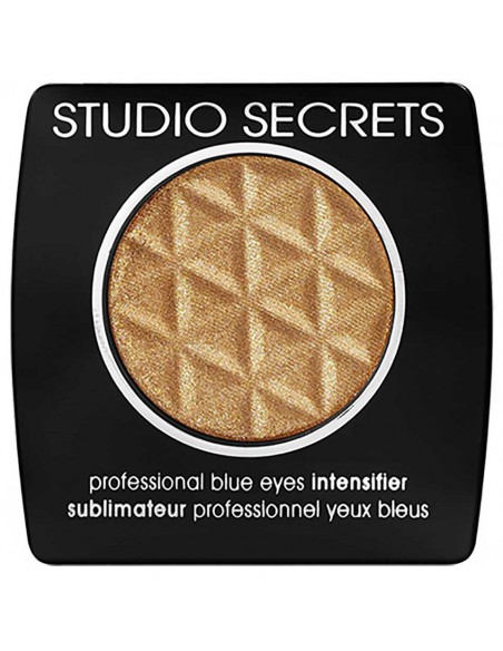 Studio Secret Professional Blue Intensifier 282 Studio Secret Professional Blue Intensifier 282