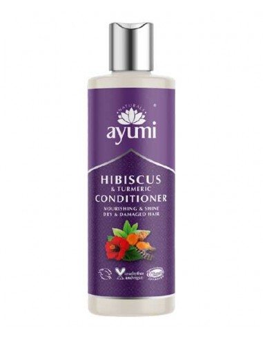 Ayumi Naturals Hibiscus And Tumeric Conditioner Ayumi Naturals Hibiscus And Tumeric Conditioner