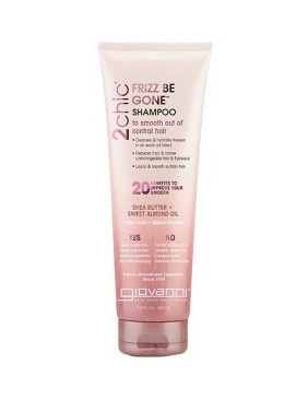 2 Chic Frizz Be Gone Shampoo