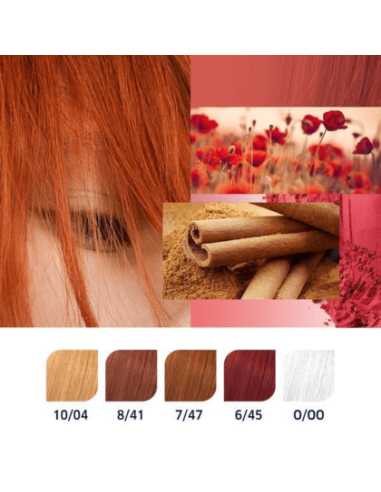 Koleston Perfect ME Plus Pure Naturals 10/04 shade Koleston Perfect ME Plus Pure Naturals 10/04 shade