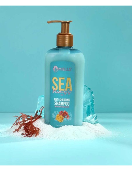 Sea Moss Anti Shedding Shampoo Sea Moss Anti Shedding Shampoo