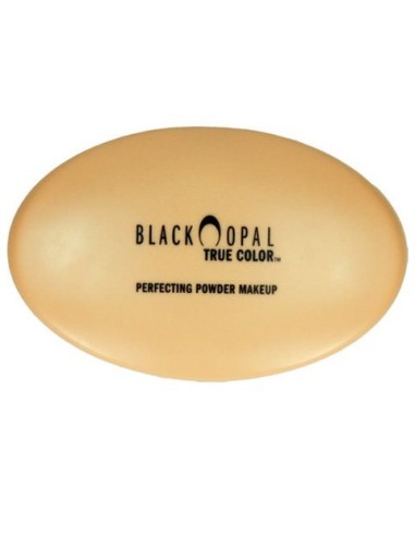 True Color Perfecting Powder Makeup True Color Perfecting Powder Makeup