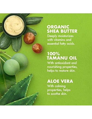 100 Percent Tamanu Oil And Organic Shea Butter Extra Dry Skin Body Lotion 100 Percent Tamanu Oil And Organic Shea Butter Extra Dry Skin Body Lotion