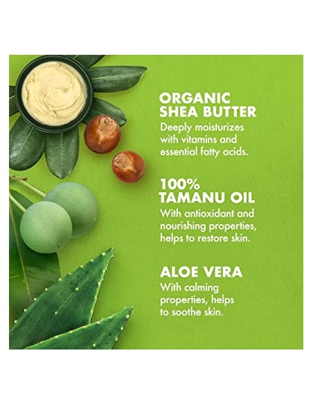 100 Percent Tamanu Oil And Organic Shea Butter Extra Dry Skin Body Lotion 100 Percent Tamanu Oil And Organic Shea Butter Extra Dry Skin Body Lotion