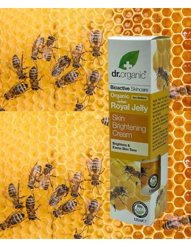 Bioactive Skincare Organic Royal Jelly Skin Brightening Cream Bioactive Skincare Organic Royal Jelly Skin Brightening Cream