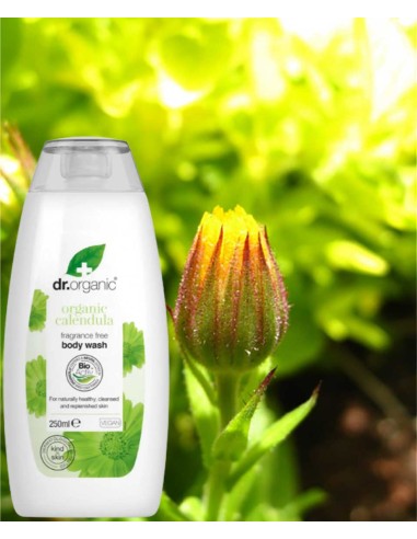 Organic Calendula Fragrance Free Body Wash Organic Calendula Fragrance Free Body Wash
