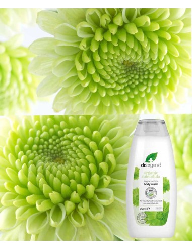 Organic Calendula Fragrance Free Body Wash Organic Calendula Fragrance Free Body Wash