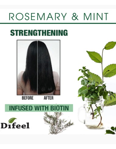 Difeel Rosemary And Mint Hair Care Set Infused With Biotin Difeel Rosemary And Mint Hair Care Set Infused With Biotin