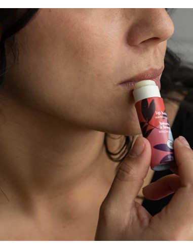 Attitude Leaves Bar Watermelon Lip Balm Attitude Leaves Bar Watermelon Lip Balm