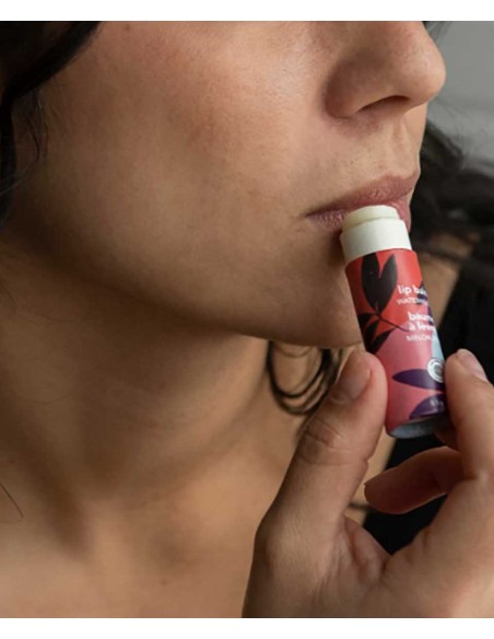 Attitude Leaves Bar Watermelon Lip Balm Attitude Leaves Bar Watermelon Lip Balm