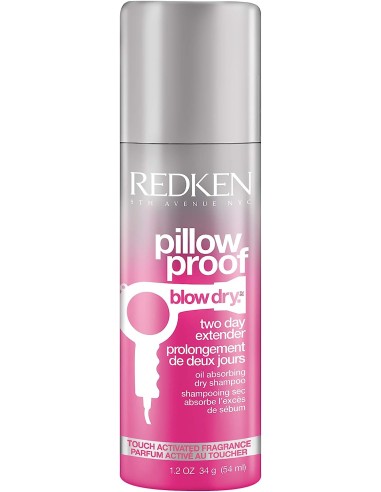 Redken Pillow Proof Blow Dry Redken Pillow Proof Blow Dry