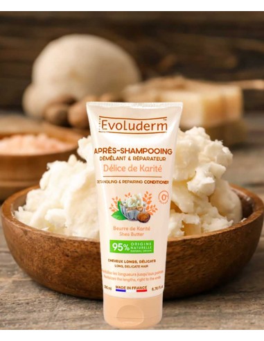 Evoluderm Detangling & Repairing Conditioner Evoluderm Detangling & Repairing Conditioner