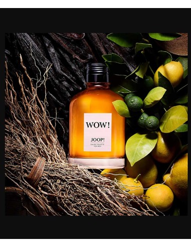Joop Wow Eau De Toilette For Men Joop Wow Eau De Toilette For Men