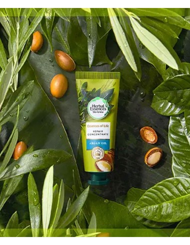 Herbal Essences Of Life Repair Concentrate Argan Oil Cream