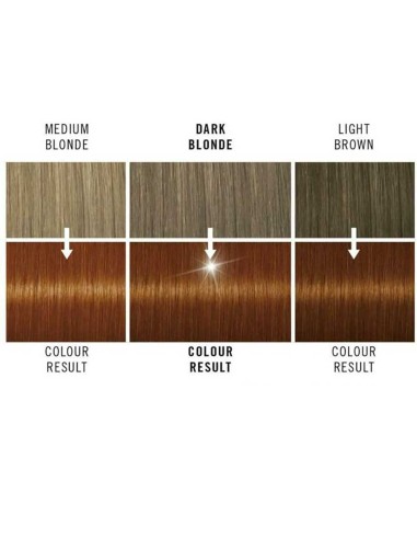 Live Color Intense Permanent Colours 030 Mango Twist