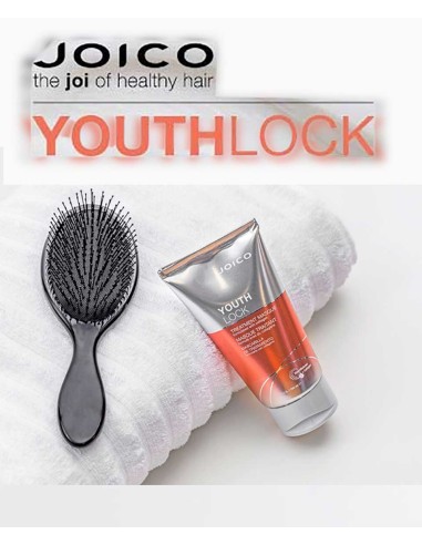 Joico Youth Lock Treatment Masque Joico Youth Lock Treatment Masque