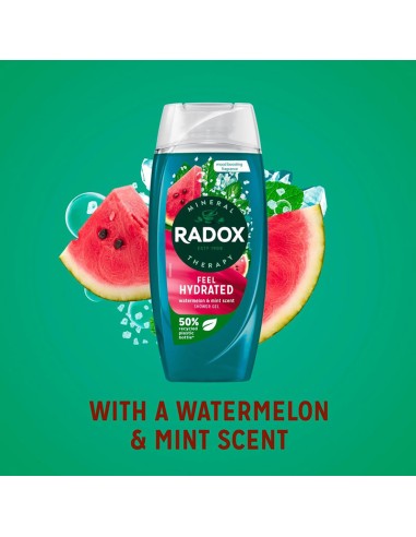 Radox Feel Hydrated Shower Gel