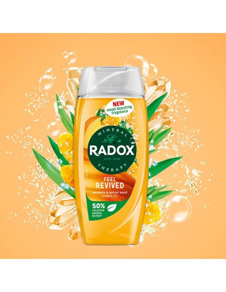 Radox Feel Revived Mandarin Apricot Scent Shower Gel Radox Feel Revived Mandarin Apricot Scent Shower Gel