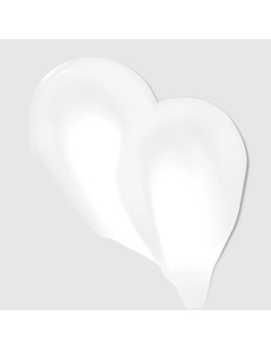 Paul Mitchell Clean Beauty Color Protect Leave In Treatment Paul Mitchell Clean Beauty Color Protect Leave In Treatment