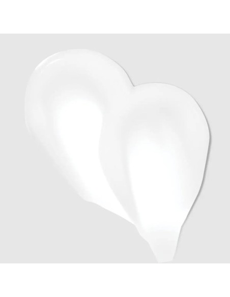 Paul Mitchell Clean Beauty Color Protect Leave In Treatment Paul Mitchell Clean Beauty Color Protect Leave In Treatment