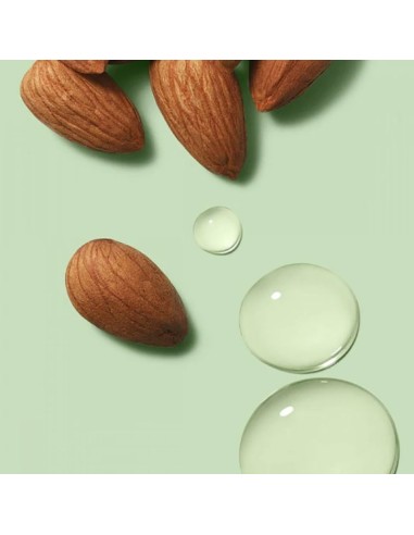 Paul Mitchell Clean Beauty Anti Frizz Conditioner Paul Mitchell Clean Beauty Anti Frizz Conditioner