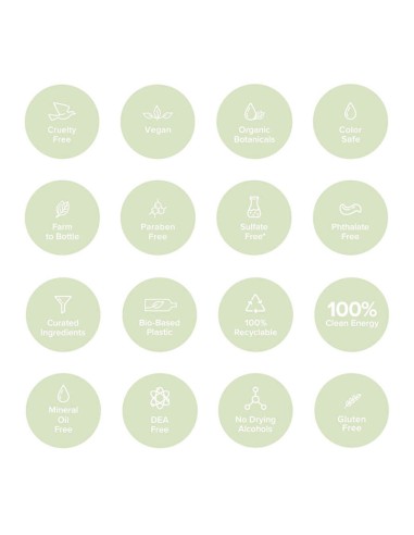 Paul Mitchell Clean Beauty Anti Frizz Conditioner Paul Mitchell Clean Beauty Anti Frizz Conditioner