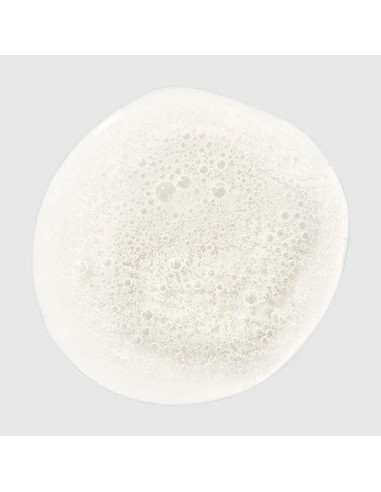 Paul Mitchell Clean Beauty Color Protect Shampoo Paul Mitchell Clean Beauty Color Protect Shampoo