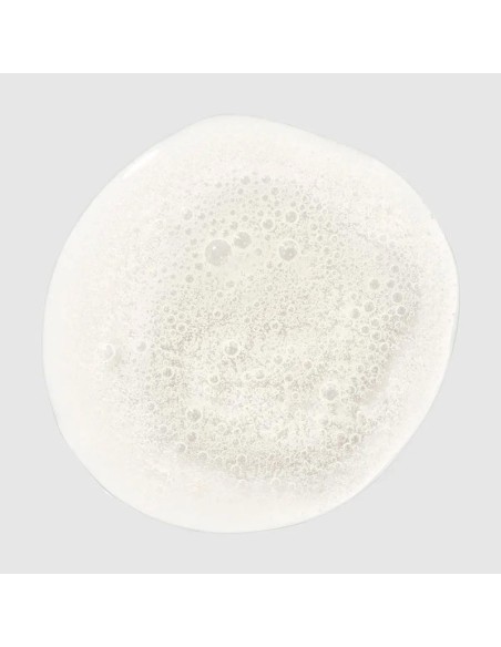 Paul Mitchell Clean Beauty Color Protect Shampoo Paul Mitchell Clean Beauty Color Protect Shampoo