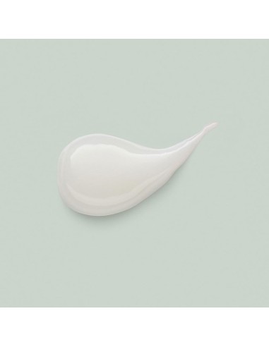 Goldwell Style Sign Curls Lightweight Fluid