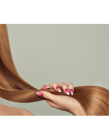 Xpel Argan Oil Hair Treatment Xpel Argan Oil Hair Treatment