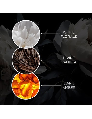 Twilight Amber Luxury Body Wash