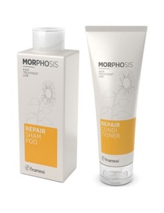 MorphosisMorphosis Repair Shampoo And Conditioner Kit