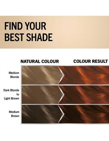 Schwarzkopf Oleo Intense Permanent Oil Colouration 5-77 Light Copper Brown Schwarzkopf Oleo Intense Permanent Oil Colouration 5-77 Light Copper Brown