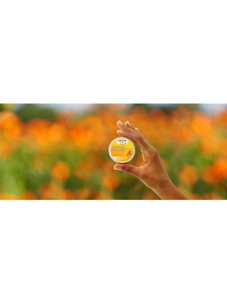 Weleda Calendula Baby All Purpose Balm