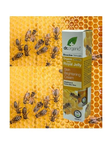 Bioactive Skincare Organic Royal Jelly Skin Brightening Cream Bioactive Skincare Organic Royal Jelly Skin Brightening Cream