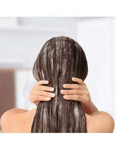 REF Illuminate Colour Conditioner REF Illuminate Colour Conditioner