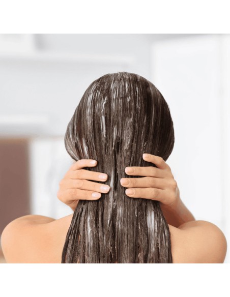 REF Illuminate Colour Conditioner REF Illuminate Colour Conditioner