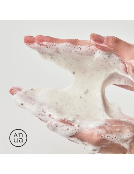 AnuaAnua Heartleaf Quercetinol Pore Deep Cleansing Foam AnuaAnua Heartleaf Quercetinol Pore Deep Cleansing Foam