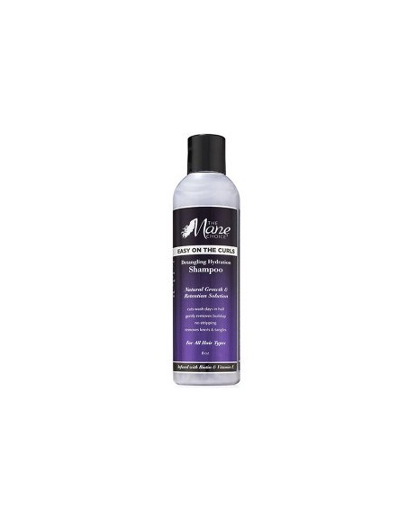 Easy On The Curls Detangling Hydration Shampoo