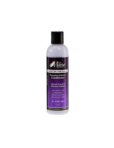 Easy On The Curls Detangling Hydration Conditioner