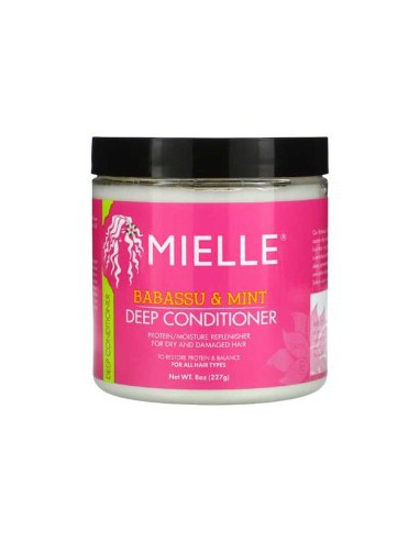 Babassu Oil And Mint Deep Conditioner