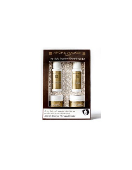 The Gold System Experience Kit