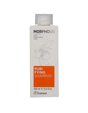 Morphosis Purifying Shampoo